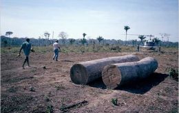 Rich countries thinking about mechanisms to reward rainforest conservation