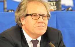 “We want an OAS that functions efficiently on two levels of action, and that this benefits all the member countries and their citizens directly,” said Almagro.