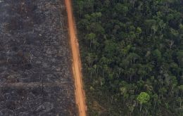 Brazil has enjoyed strong backing from Trump's government after outrage in Europe over evidence that logging, industry and fires have multiplied in the Amazon under Bolsonaro.