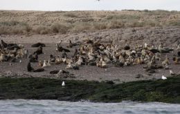 Viedma Mayor Pedro Pesatti also asked the provincial Government of Río Negro for help